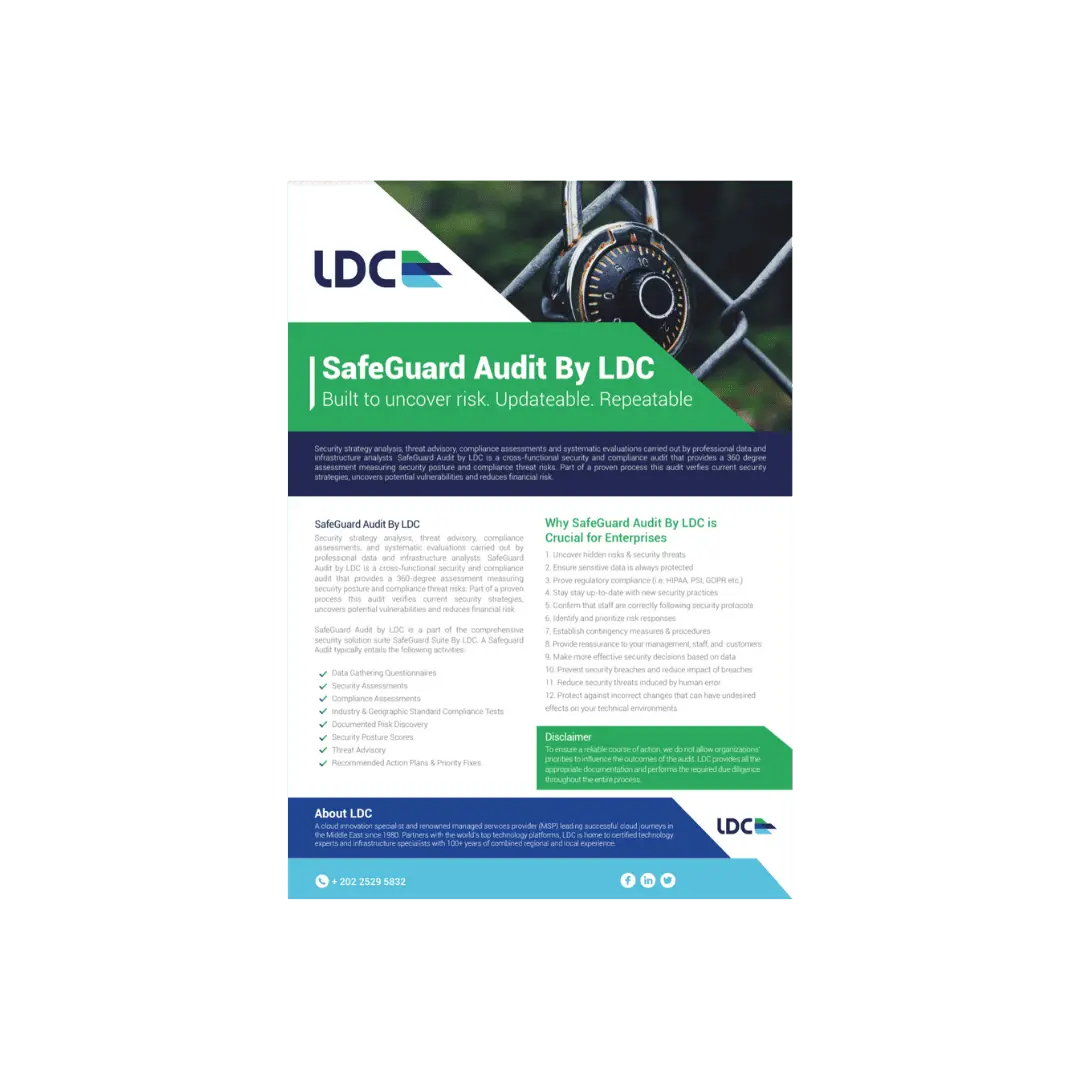 Downloads Safeguard Audit by LDC